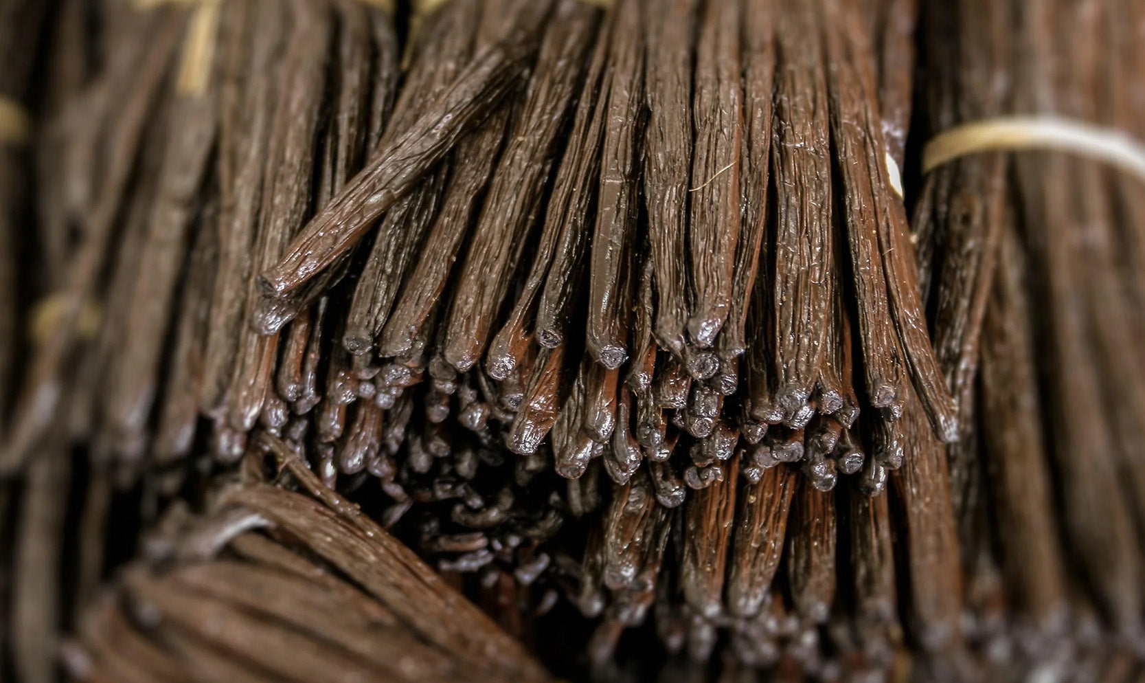 Naturals together | A la découverte de la vanille de Madagascar - Mizensir.ch