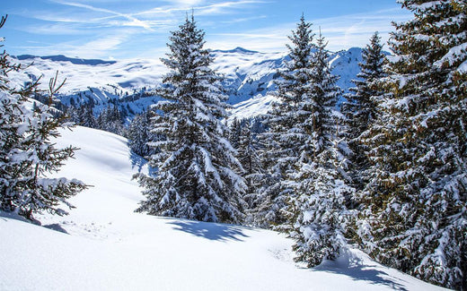 Mizensir Megève - Mizensir.ch